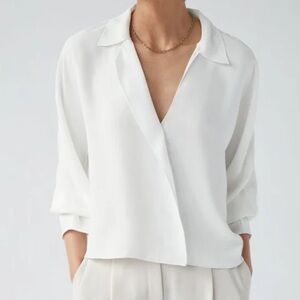 Aritzia Babaton Martin blouse